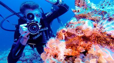 &copy; Harald Mielke